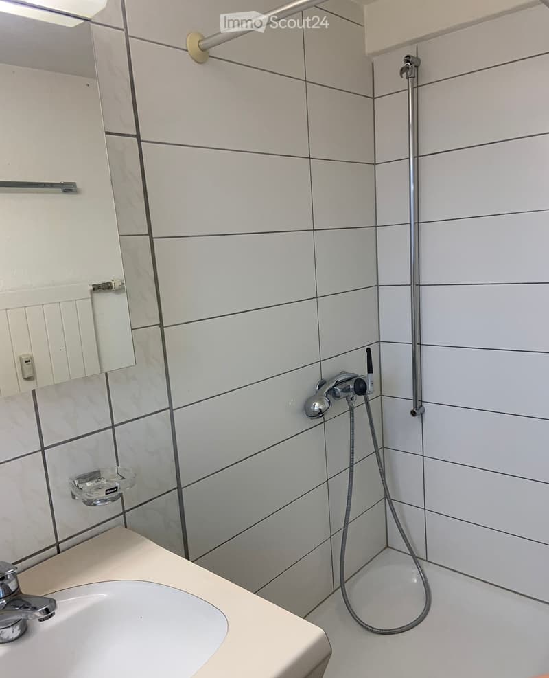 1 bedroom apartment in Reinach (4)