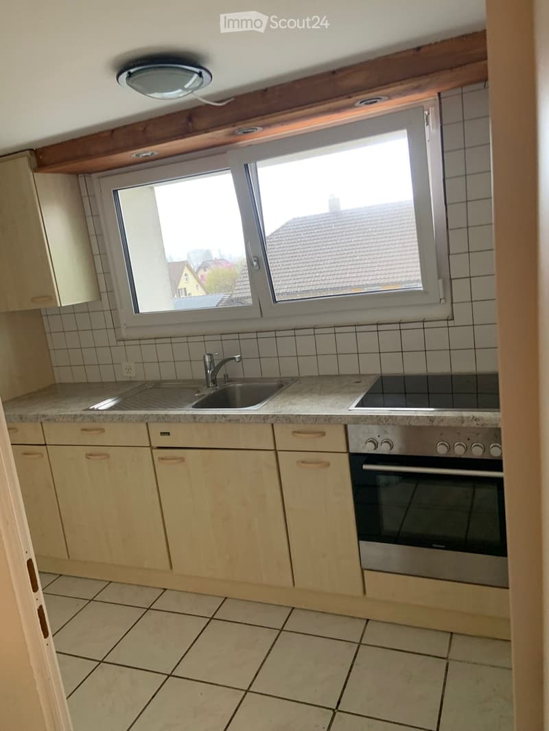 1 bedroom apartment in Reinach (2)