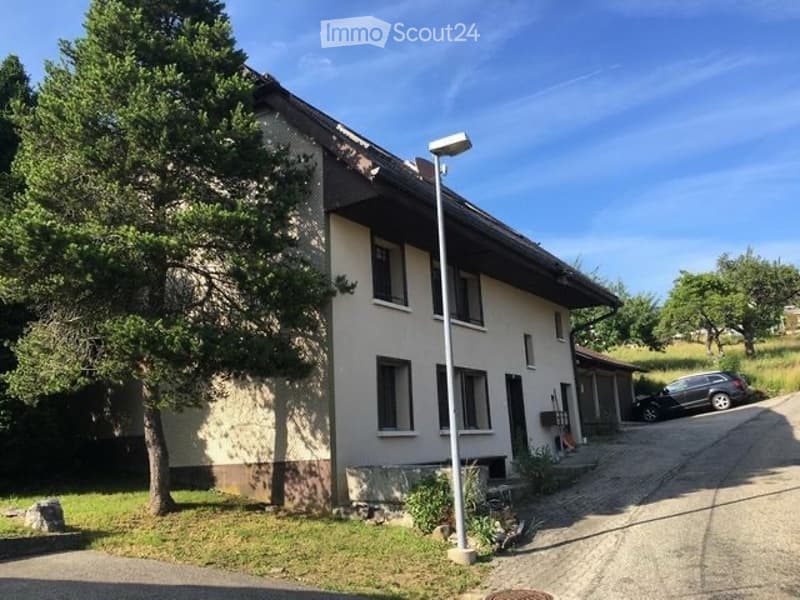 Joli appartement 2,5 pièces (5)
