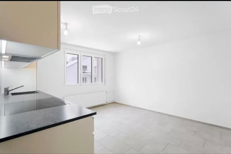 Newly valued apartment (4)
