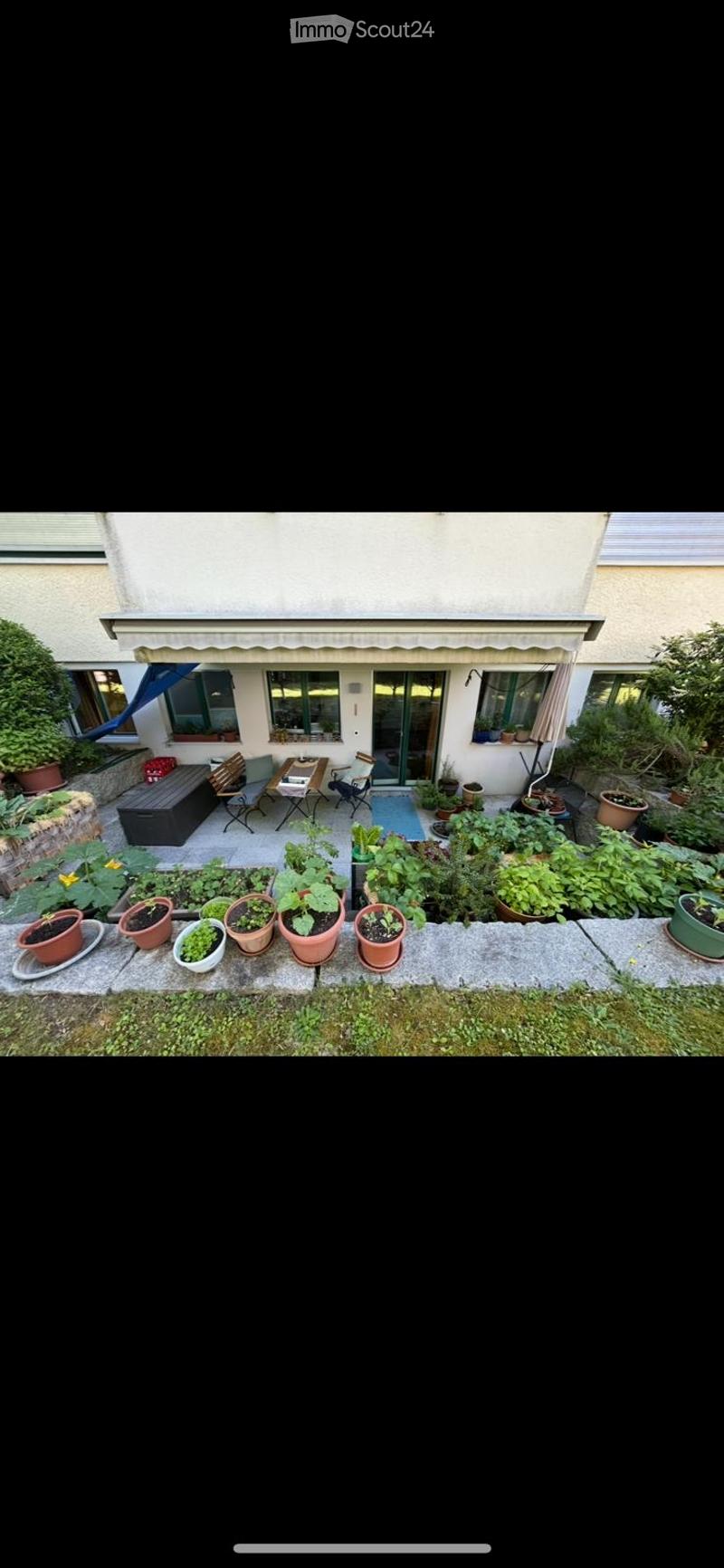 Bright 2.5-room apartment with large terrace (5)