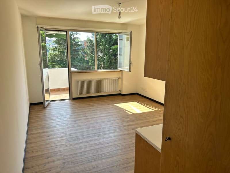 Two-room apartment with large terrace and exclusive services (1)