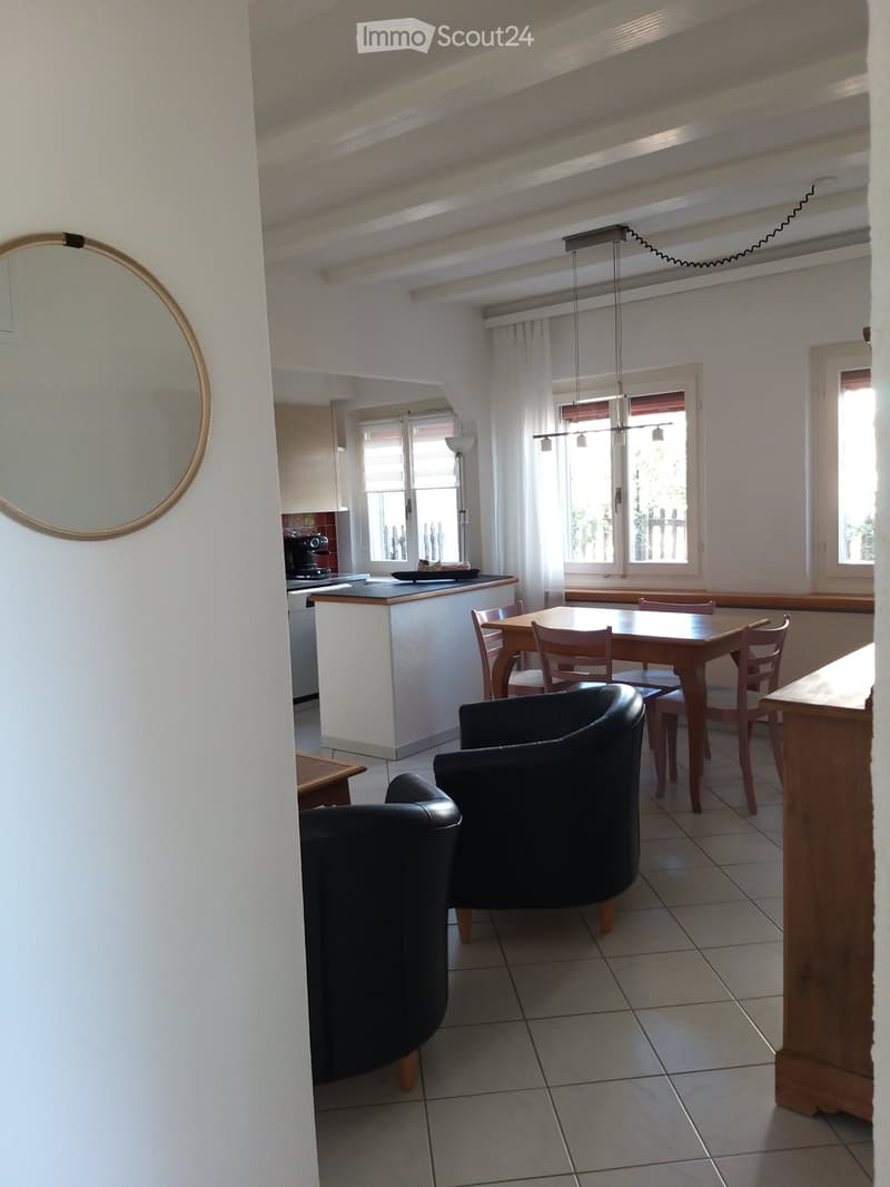 Appartamento a Horgen (2)