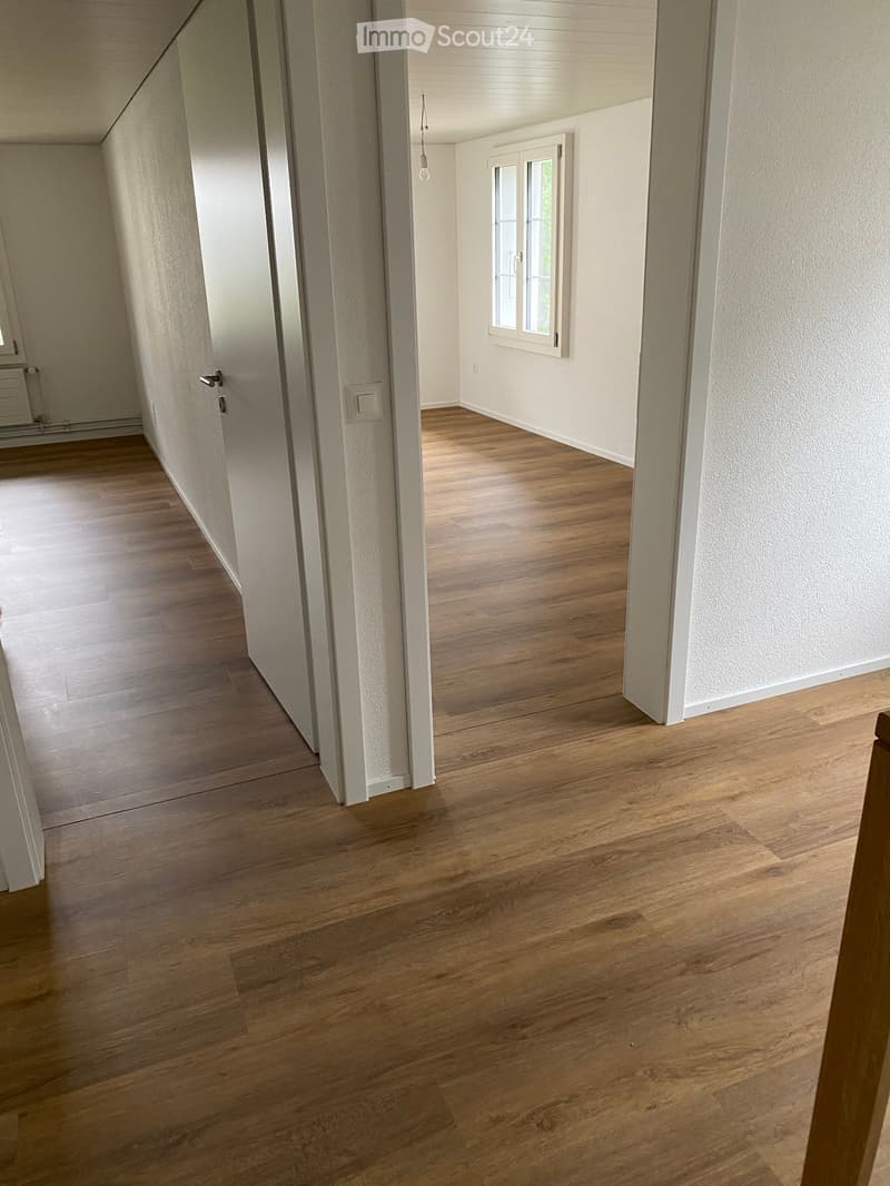 Ampio appartamento 4 1/2 locali (5)