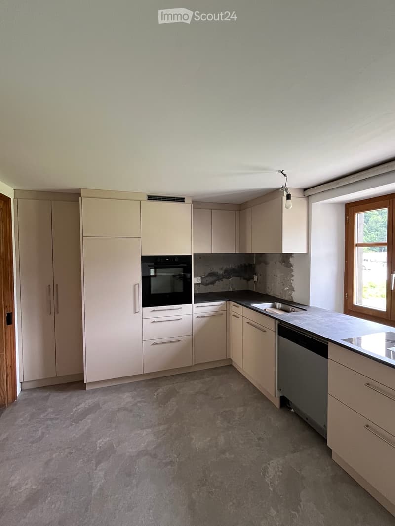 Appartamento 5.5 locali con bello e grande giardino (4)