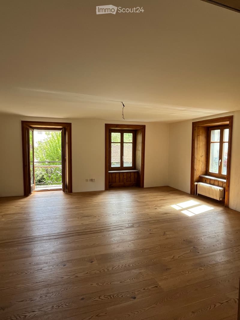 Appartamento 5.5 locali con bello e grande giardino (5)