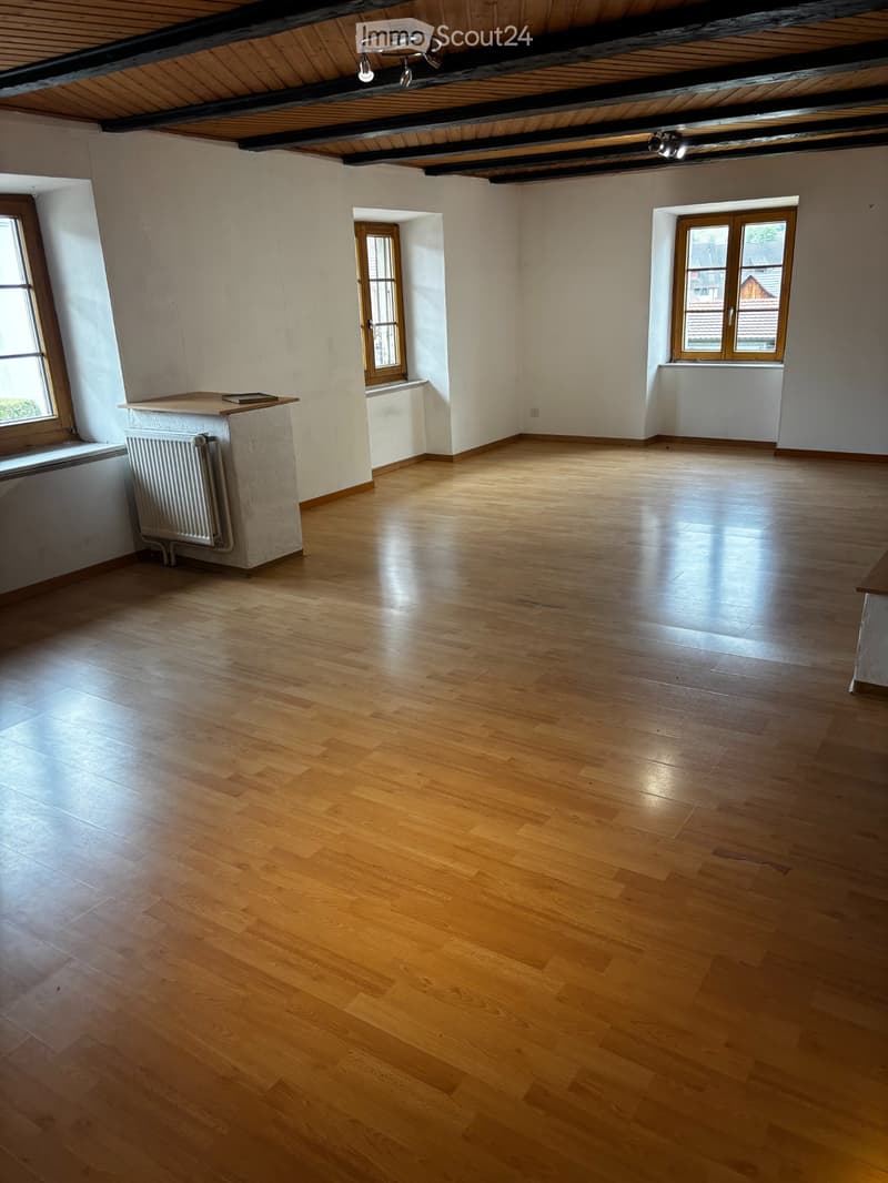 Ammobiliato spazioso e luminoso appartamento di 3 locali (2)