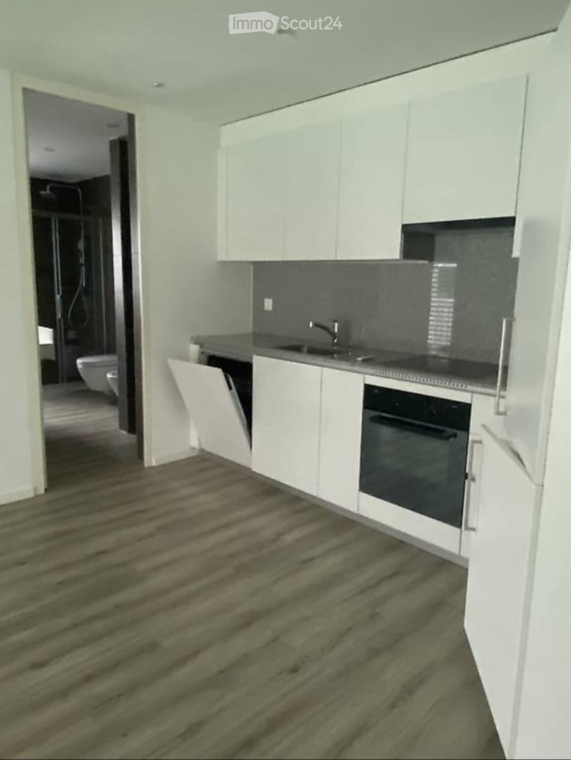 Sublet 2.5-room apartment (2)