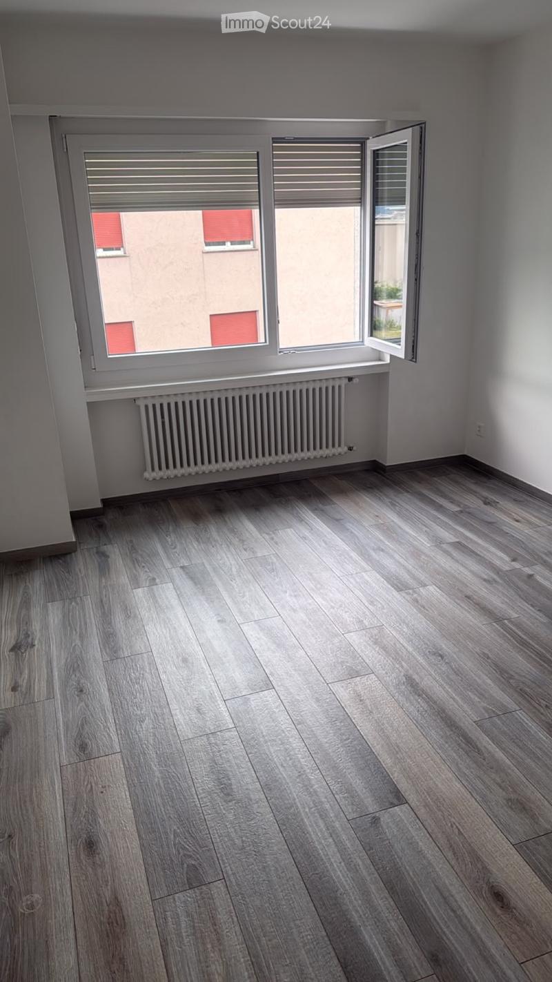 Je cherche un repreneur pour 3.5 à Sementina (5)