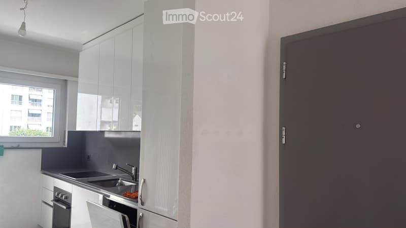 Je cherche un repreneur pour 3.5 à Sementina (4)