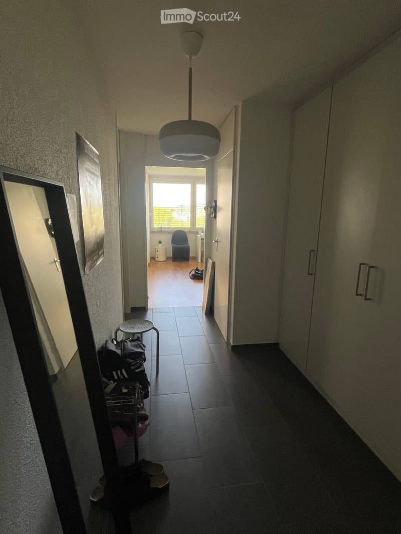 1.5 room apartment for rent in St. Gallen (5)