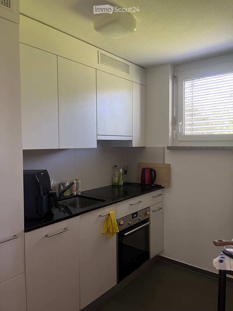 1.5 room apartment for rent in St. Gallen (3)