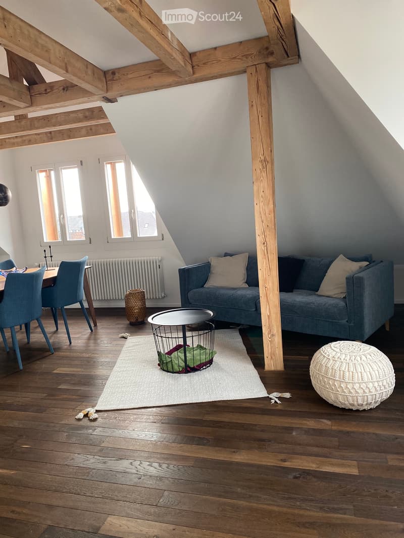 Loft apartment in Ostermundigen (3)