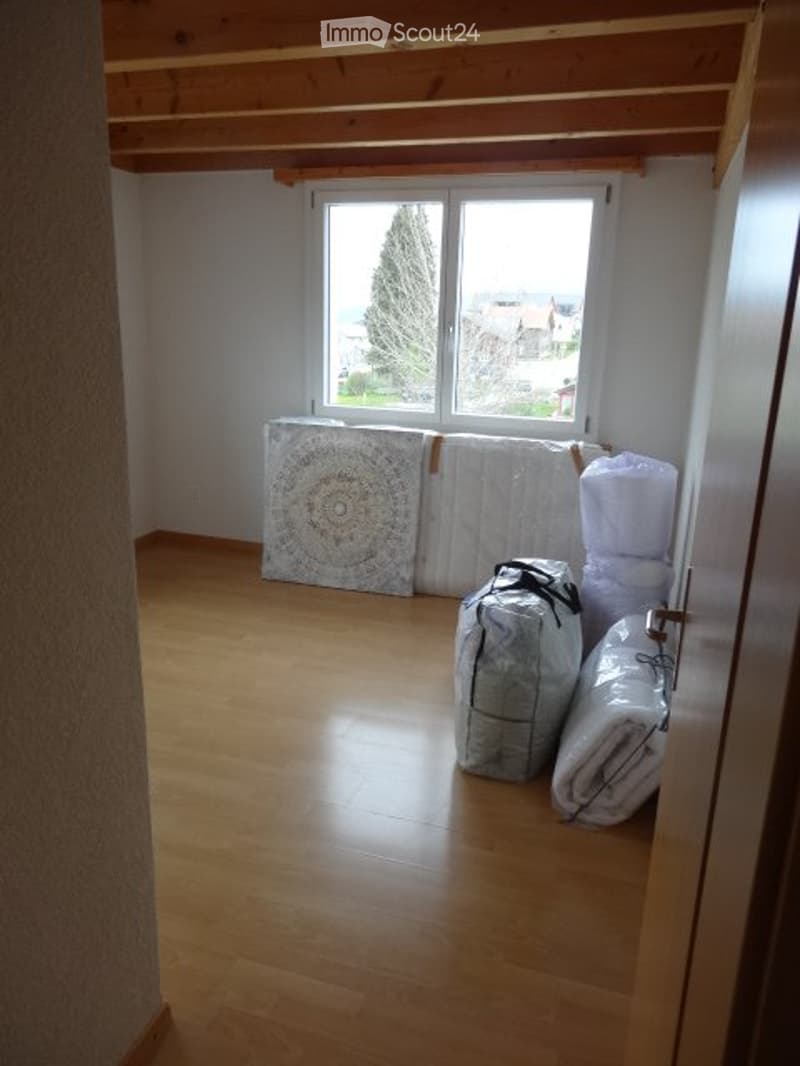 Appartamento 6,5 locali con posto giardino, vicino al centro, natura (5)