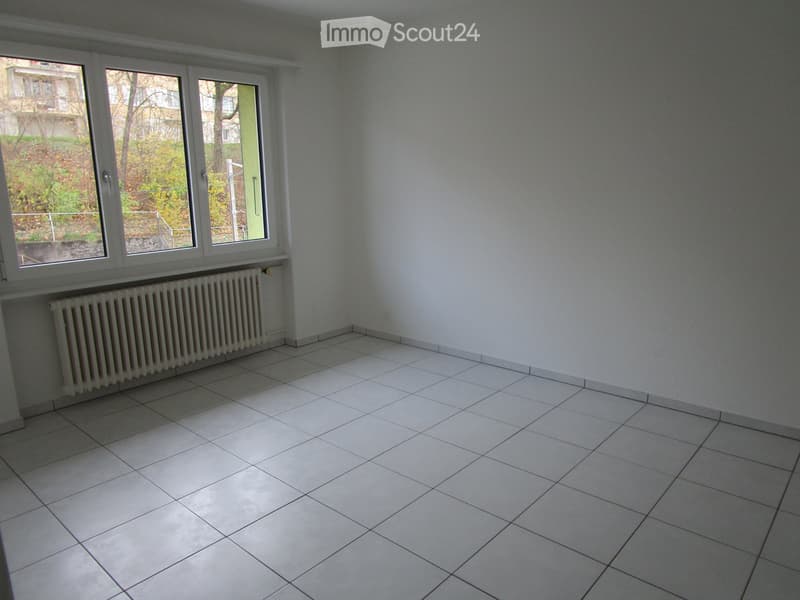 Sunny 3-room apartment for rent (4)