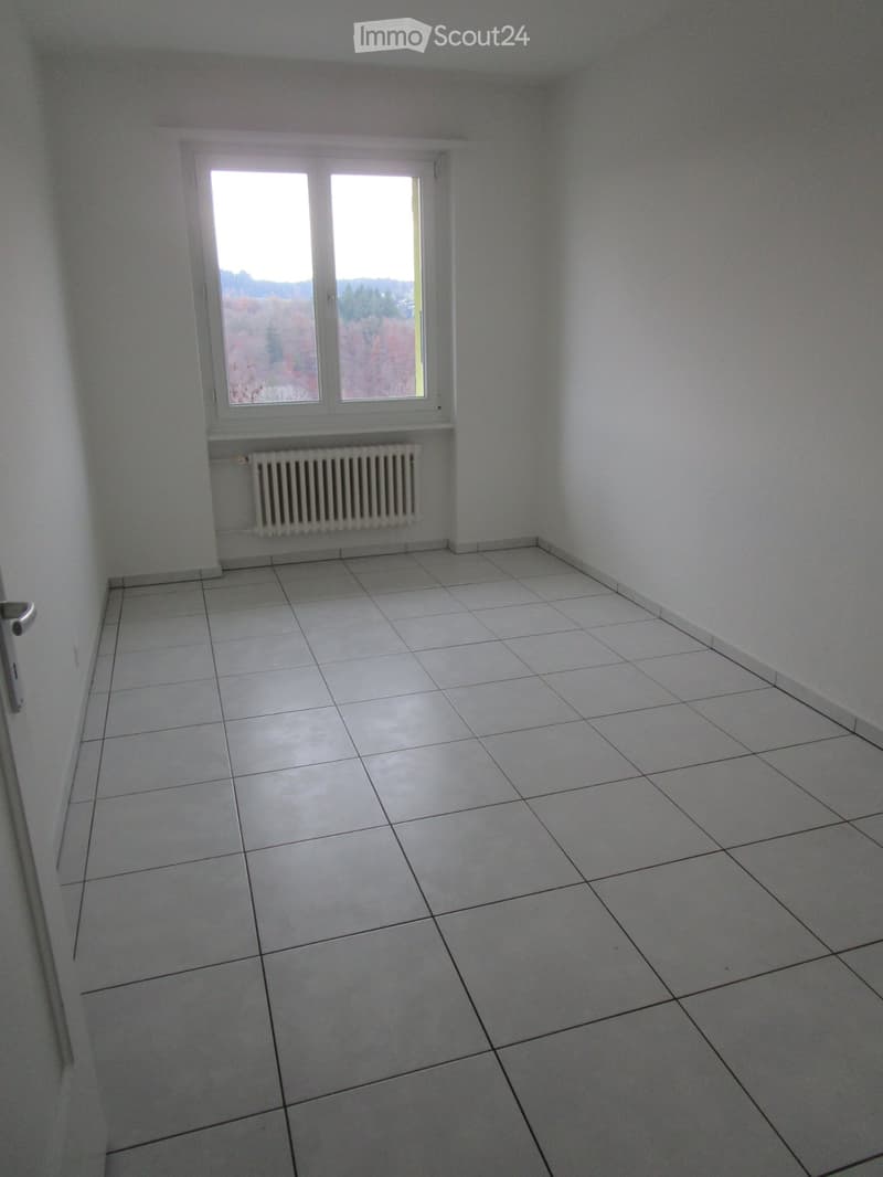 Sunny 3-room apartment for rent (5)