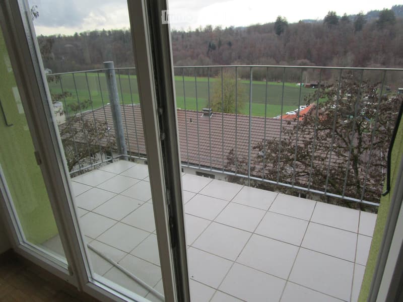 Sunny 3-room apartment for rent (3)
