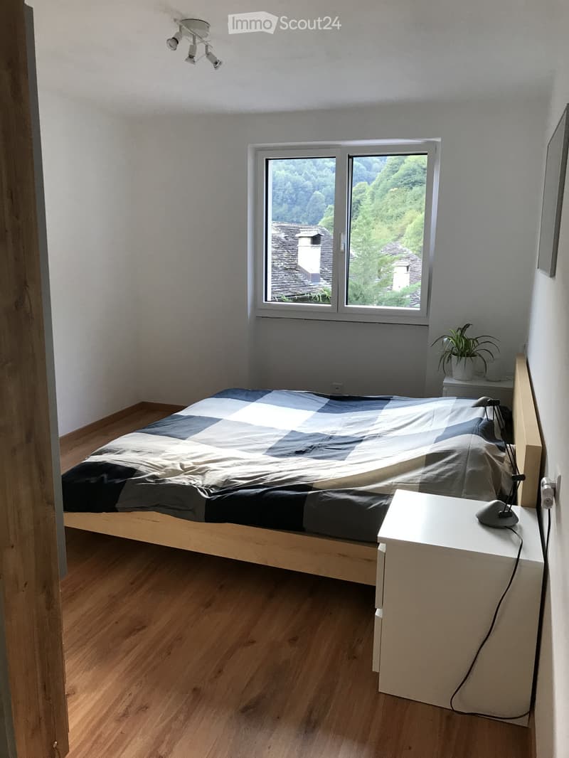 Casa rinnovata immersa nel verde della Valle di Blenio (2)