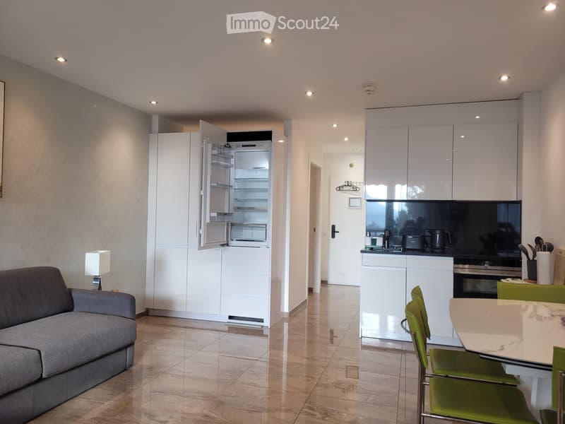 Appartement moderne et rénové de 2,5 pièces avec vue sur le lac (3)