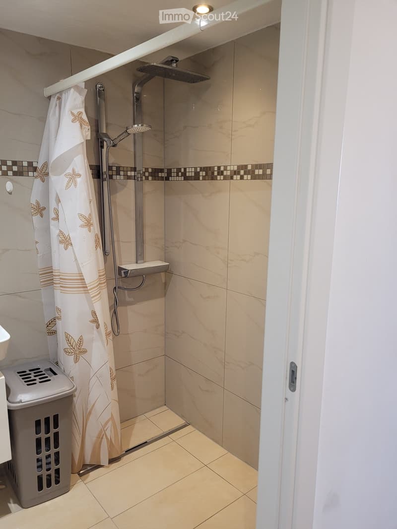 Appartement moderne et rénové de 2,5 pièces avec vue sur le lac (2)