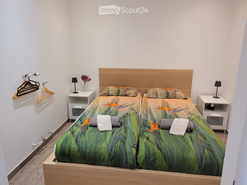 Appartement moderne et rénové de 2,5 pièces avec vue sur le lac (5)
