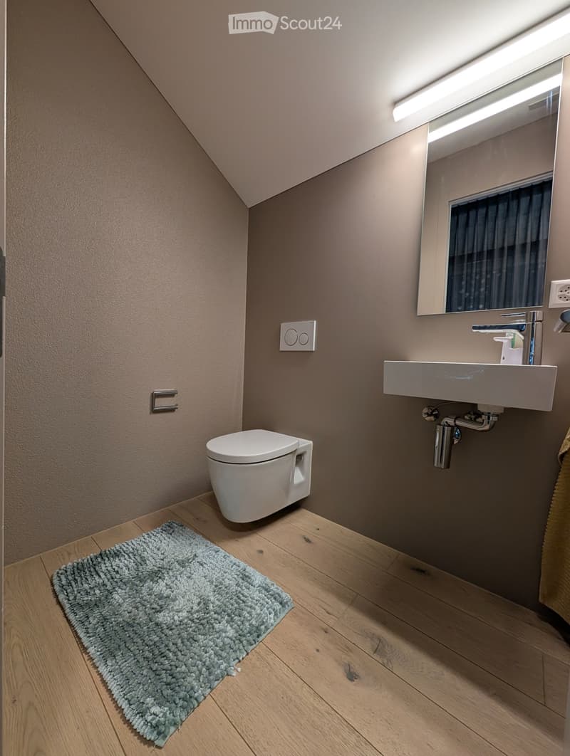 Maisonette loft 3.5 locali Bären-Scheune Langenthal (4)