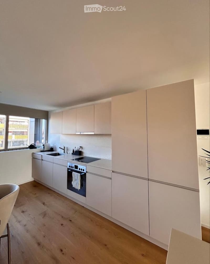 Appartement 4,5 pièces (3)
