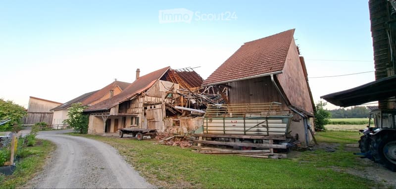 Demolition/Renovation Project (2)