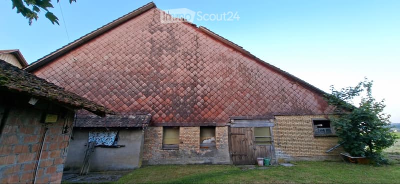 Demolition/Renovation Project (4)