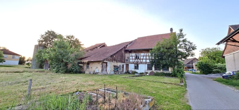 Demolition/Renovation Project (3)