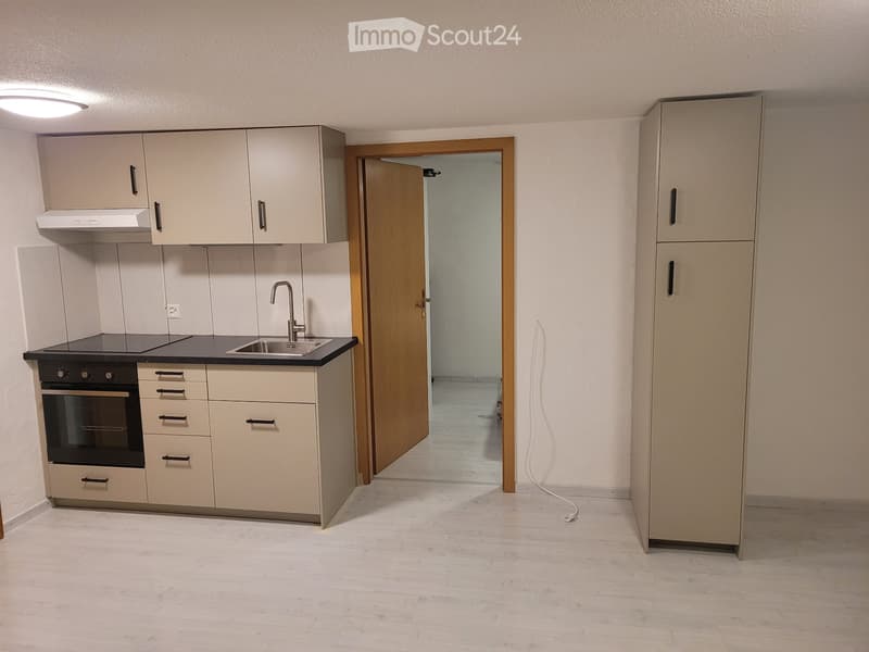 2-Bedroom Apartment for Rent (2)