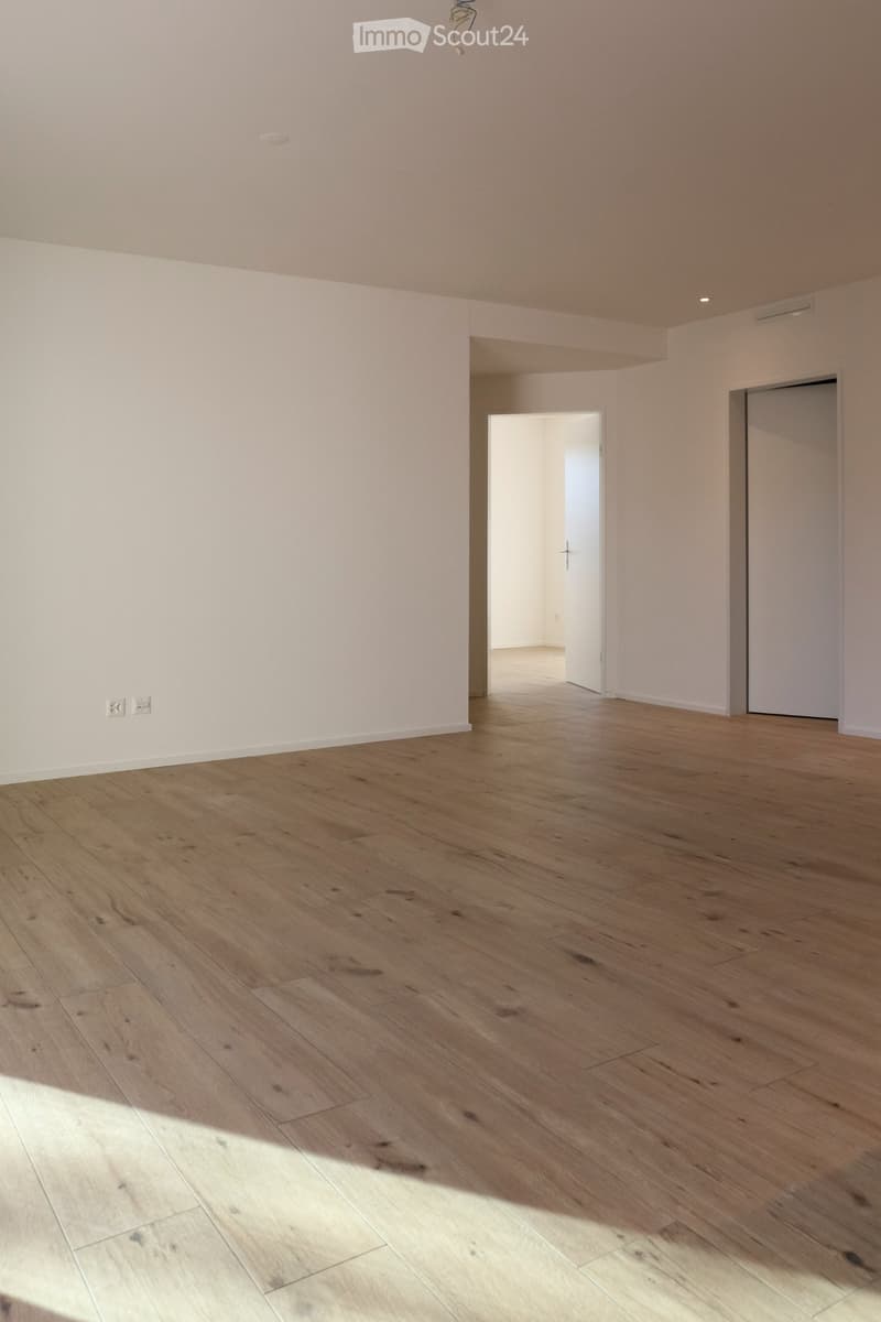 Appartamento 3 camere (2)