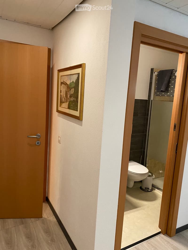 Monolocale  arredato e accessoriato (3)
