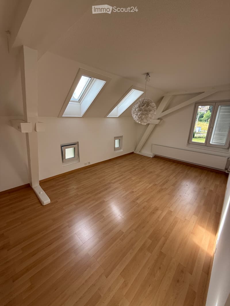 Belle maison unifamiliale dans un excellent emplacement à Uster (3)