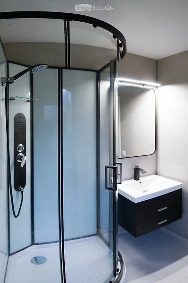 Furnished 1.5-room apartment for rent (3)