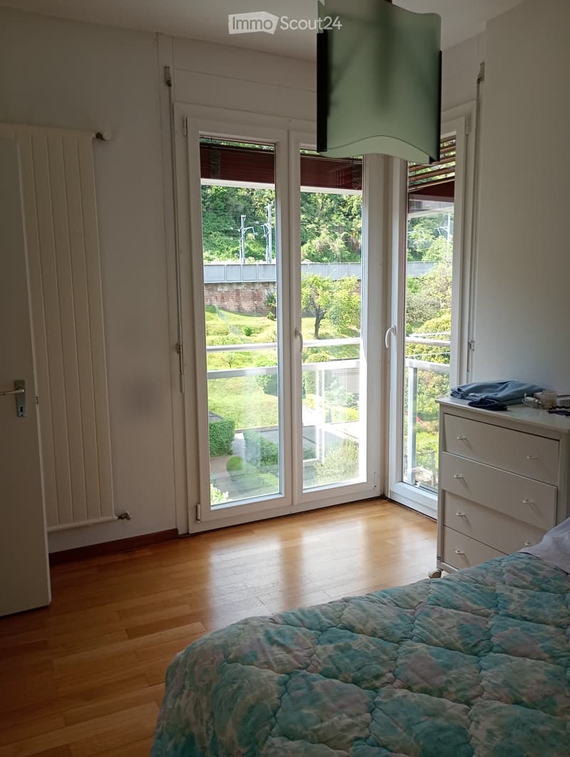Suche Einzieher für 2,5 Zimmer in Lugano Loreto (3)