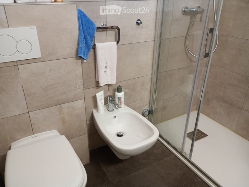 Suche Einzieher für 2,5 Zimmer in Lugano Loreto (4)
