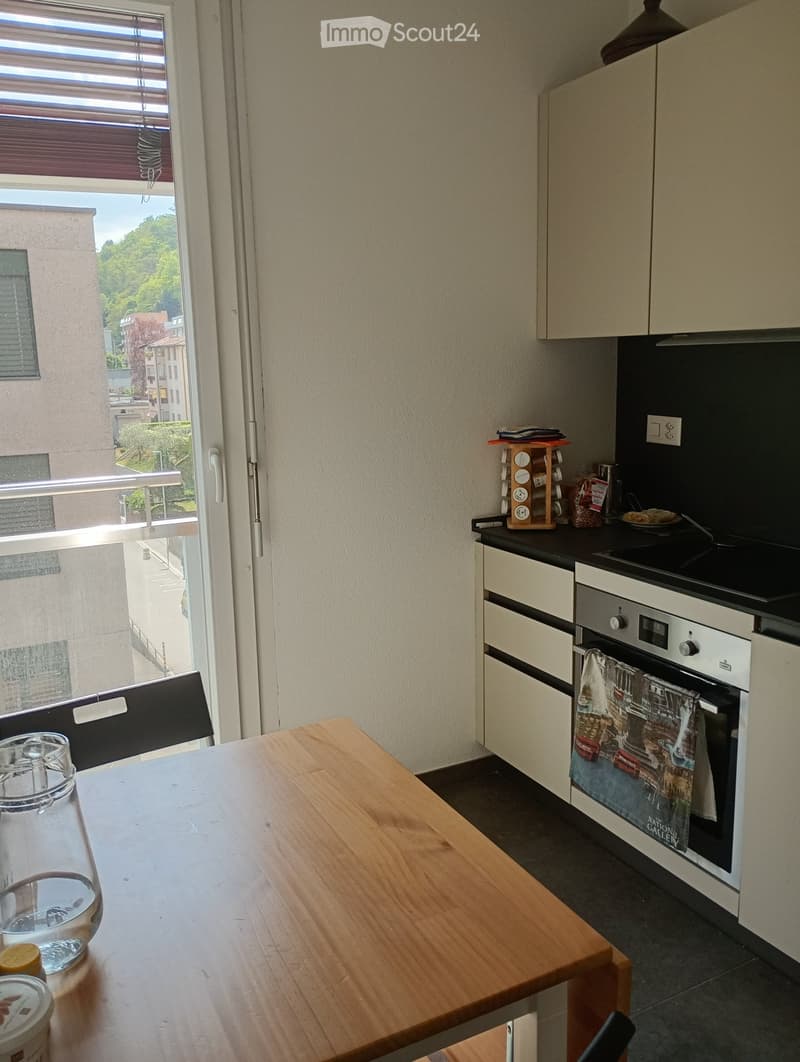 Suche Einzieher für 2,5 Zimmer in Lugano Loreto (2)
