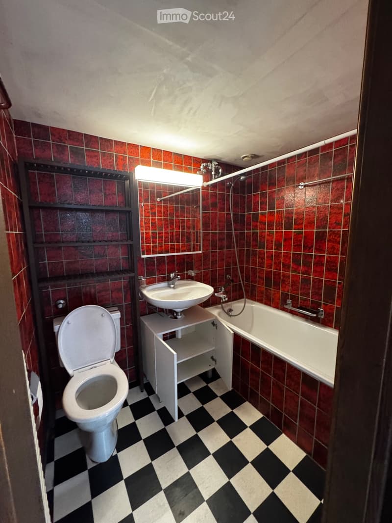 1.5 room apartment 1st floor near main station available immediately (2)
