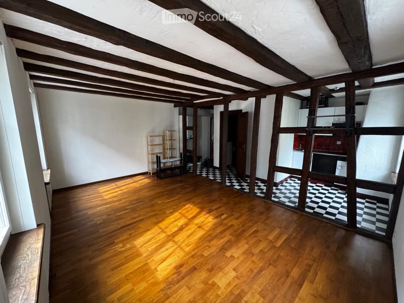 1.5 room apartment 1st floor near main station available immediately (3)
