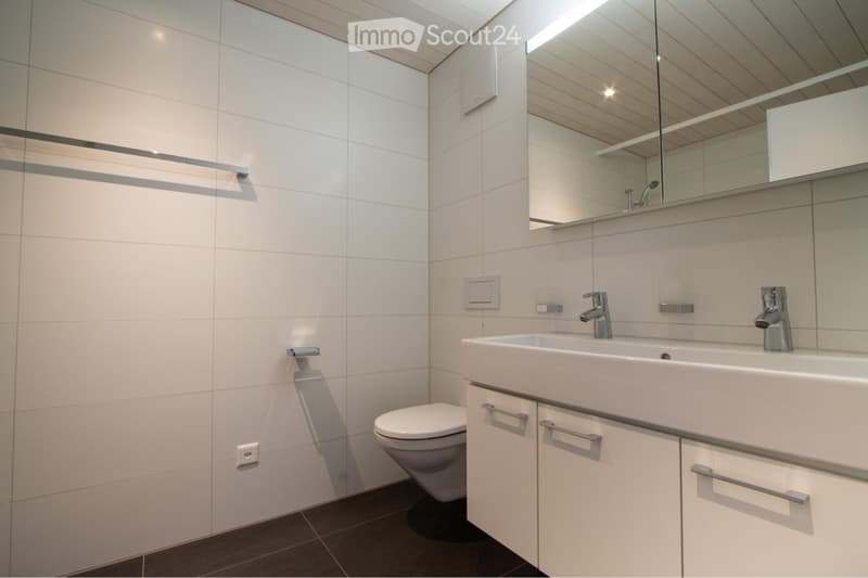 Bel appartement de 4,5 pièces sous les toits (3)