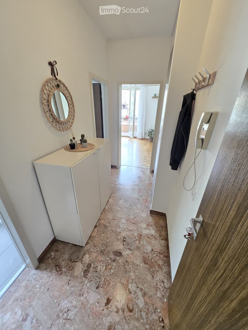 Appartement 1,5 meublé - cuisine séparée (3)