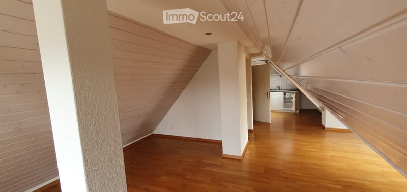 1 Zimmerwohnung / Dachgeschoss (4)