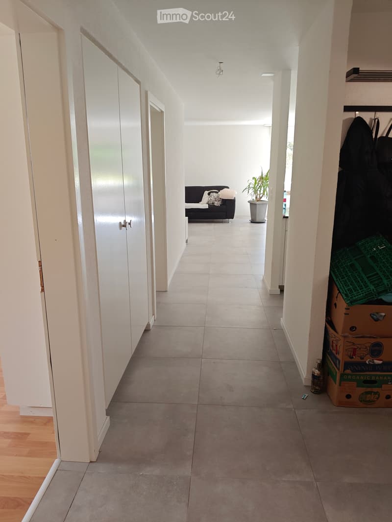 SUCHE Nachmieter, ab Juli/ Augst (4)
