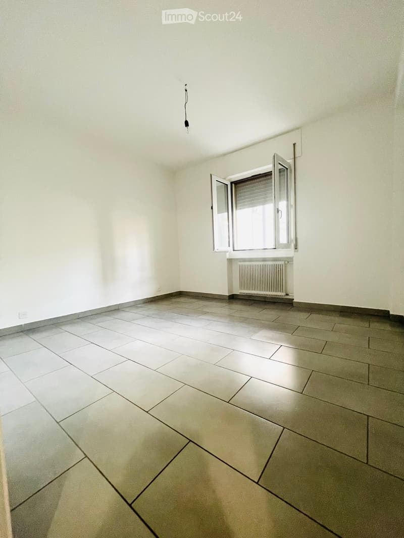 Apartment in Coldrerio (3)