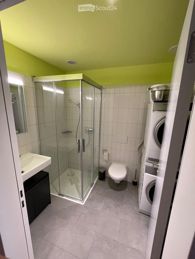 Moderne, möblierte 1.5-Zimmer-Wohnung im Aeschbachquartier (4)