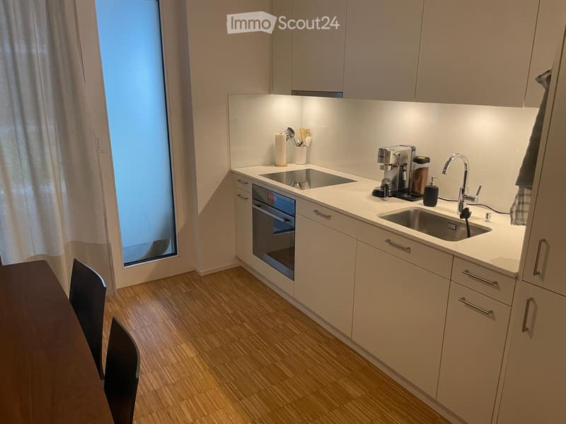 Moderne, möblierte 1.5-Zimmer-Wohnung im Aeschbachquartier (3)