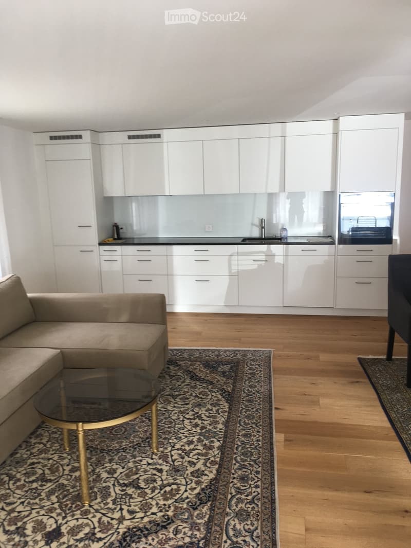 2.5 Zimmer Wohnung (3)