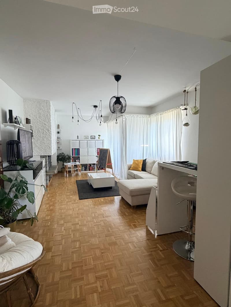 5.0 in Massagno - Suche Einzieher ab 1. September (2)