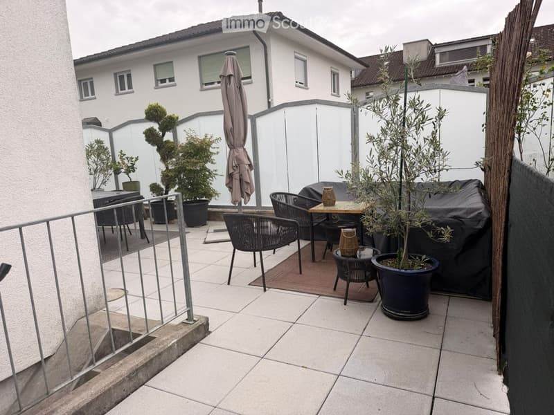 Maison mitoyenne fraîchement rénovée Allschwil (3)